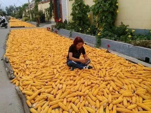 640 (16).jpg 640 (16).jpg