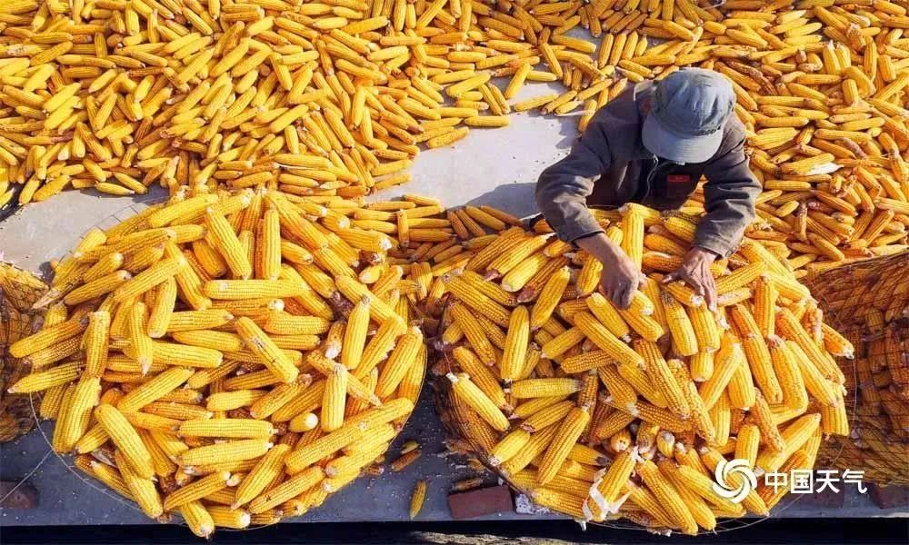 640 (15).jpg 640 (15).jpg