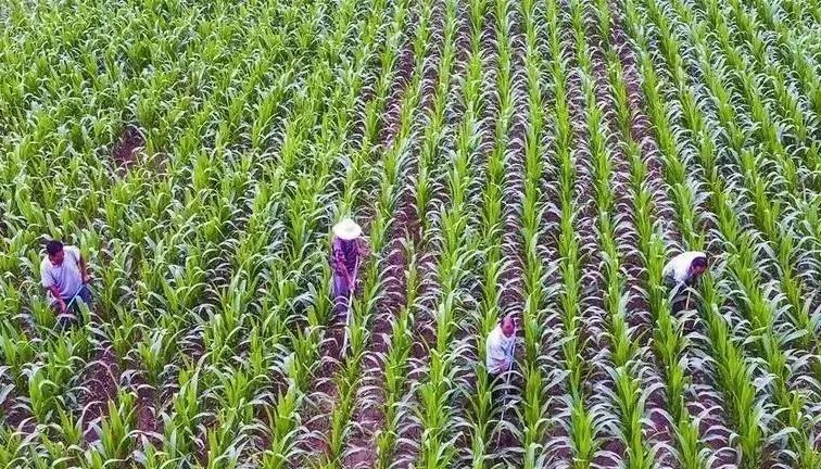 640 (13).jpg 640 (13).jpg