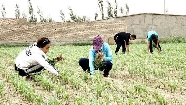 640 (17).jpg 640 (17).jpg